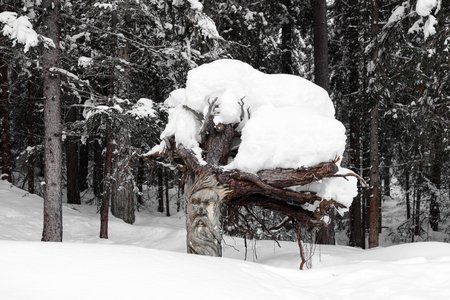 Aqua Bad Cortina - Winter